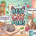 best-cat-puns