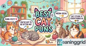 best-cat-puns